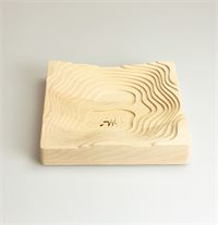 SVUOTA TASCHE IN LGNO TRENTINO